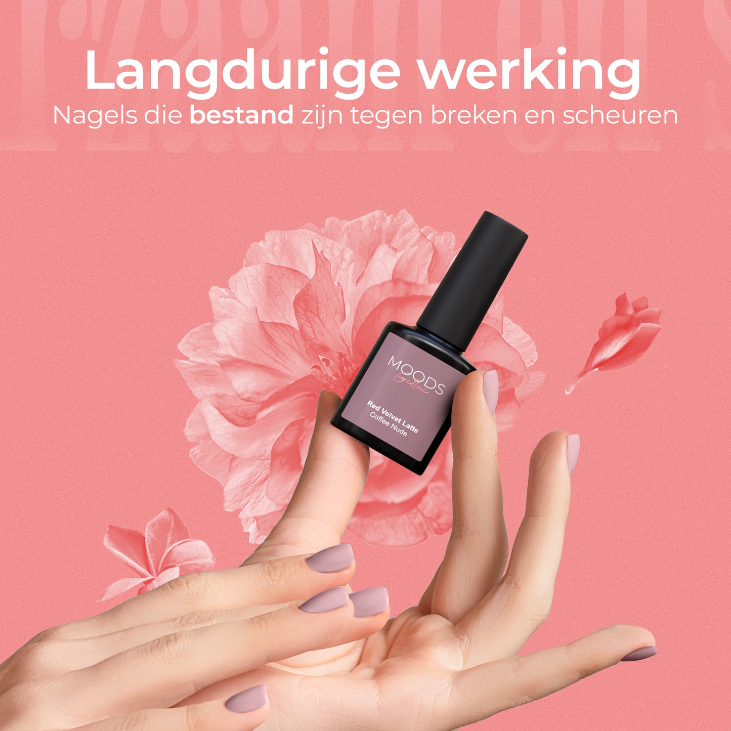 Coffee Nude Starterspakket